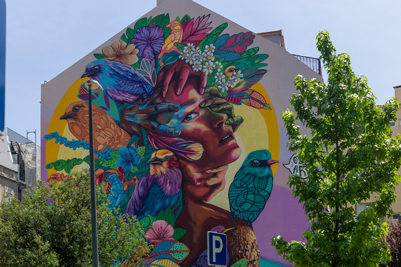 Beautiful mural in Graca